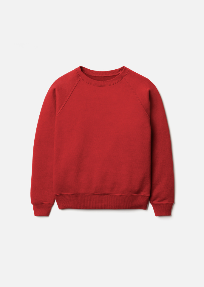 Red 2025 crewneck sweater